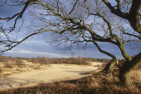 Centrum De Moer